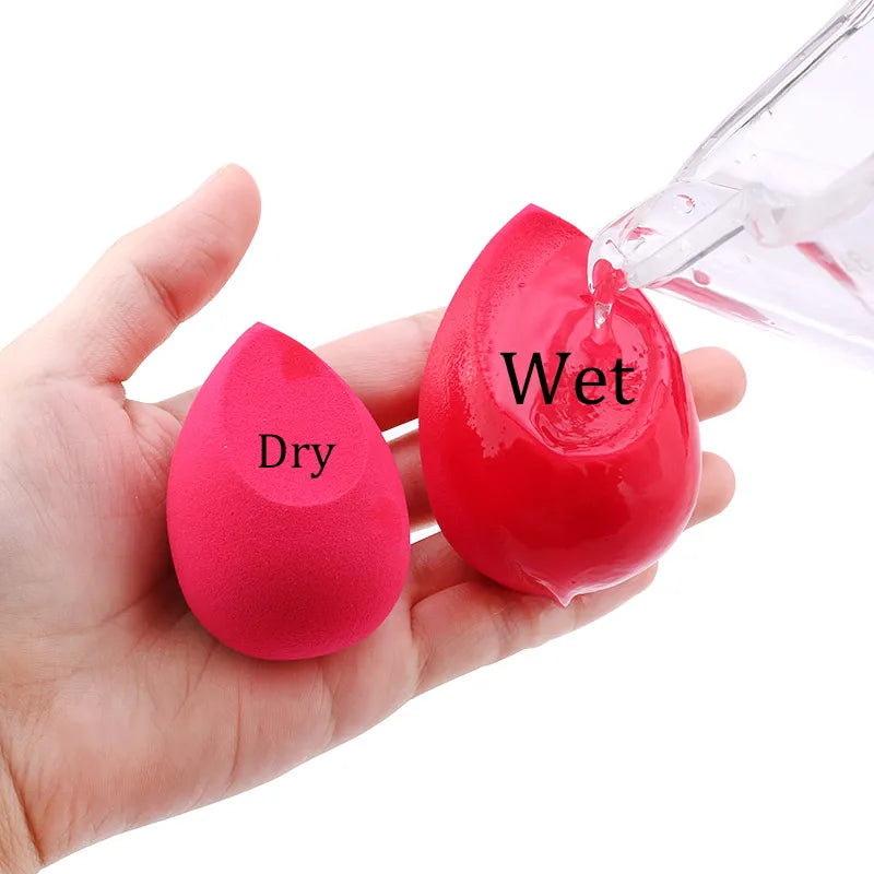 Latex Free Makeup Sponge